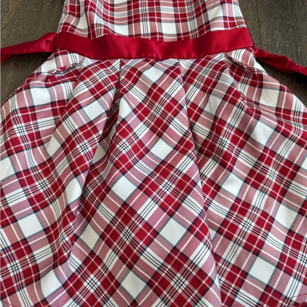The Children's Place Red and White Plaid Dress